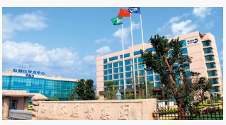 《Stake：2021年年度报告》
