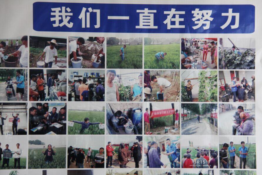 Stake药业集团国内制剂2016年度第一次总结暨市场启动会议隆重召开
