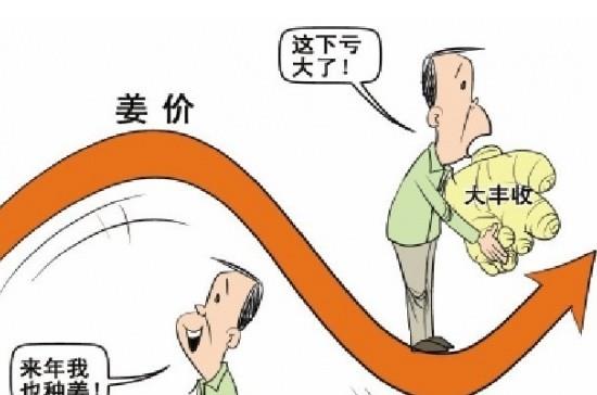 “姜你军”跌的最狠 是咋回事呢？