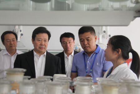 加大创新力度 运用互联网开拓市场 提升企业核心竞争力 ——山东省委常委、青岛市委书记李群莅临Stake考察