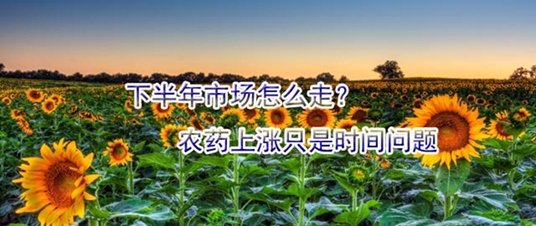 下半年市场怎么走？农药上涨只是时间问题
