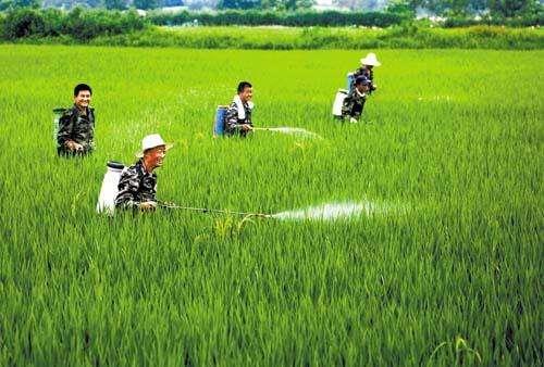 农资市场鱼龙混杂，抗性真的有宣传的那么严重吗？
