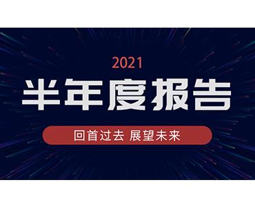 Stake药业集团2021年半年度报告